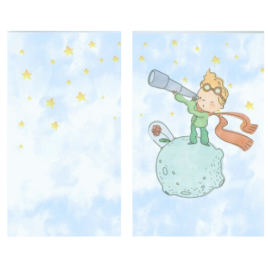 Backdrop Cover - Bundle - Litte Price