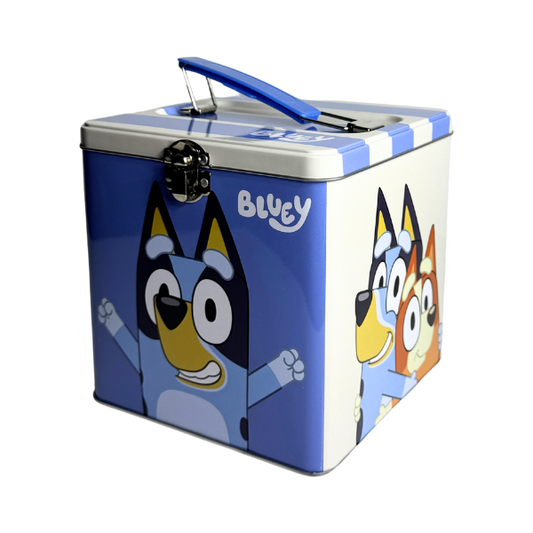 Decor - Bluey Box- Medium Size