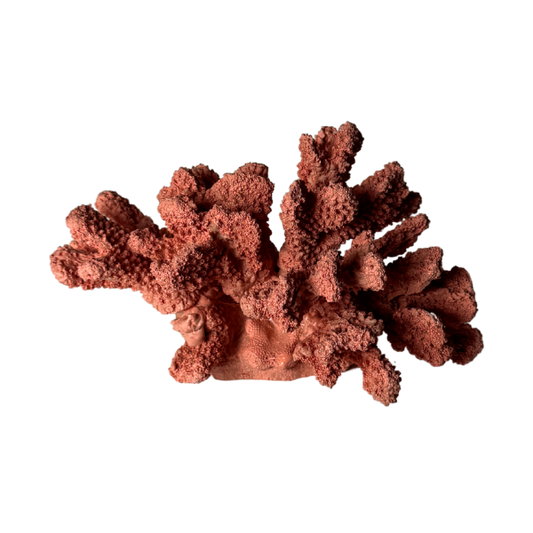 Decor - Coral - Small Size