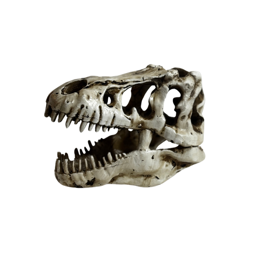 Decor - Dino Head - Large Size