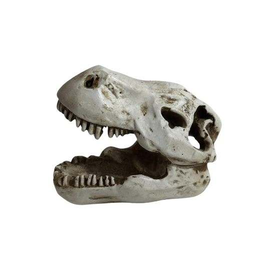 Decor - Dino Head - Small Size