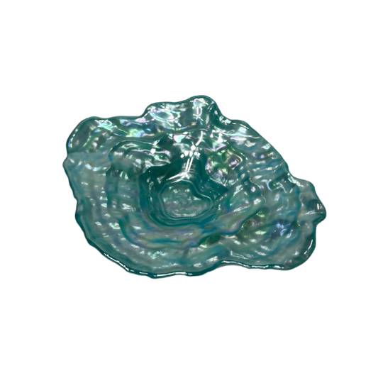 Decor - Sea Shell - Small Size