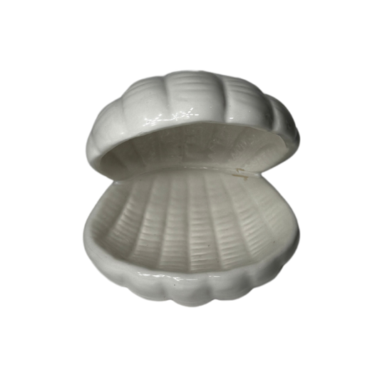 Decor - Sea Shell - Small Size