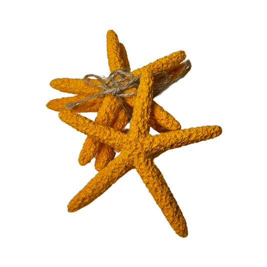 Decor - Starfish - Small Size
