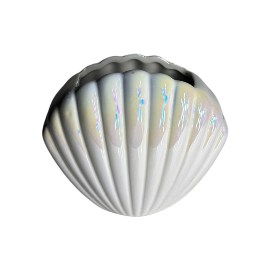 Vase - Seashell - Medium Size